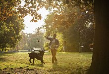 Mit Hund im Park - Christin Klose/dpa-tmn