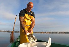 Blaukrabben in Italien - Luigi Navarra/AP