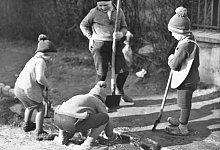 Hier wird gek&ouml;ckert - Horst Biere