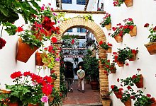 Reich geschm&uuml;ckt - Roswitha Bruder-Pasewald/dpa-tmn