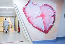 Herzchirurgie in der Asklepios Klinik Altona - Christian Charisius/dpa/dpa-tmn