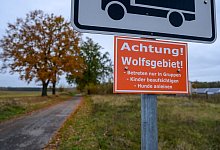 W&ouml;lfe in Deutschland - Patrick Pleul/dpa