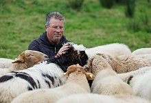 Schäfer hält schwule Schafe - Friso Gentsch/dpa