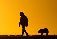 Spaziergang - Julian Stratenschulte/dpa/Symbolbild