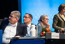 AfD-Bundesparteitag - Foto: Julian Stratenschulte/dpa