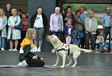 Rettungshund Johanniter - Nicole Ellerbrake