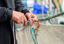 Fischerei - Foto: Mohssen Assanimoghaddam/dpa