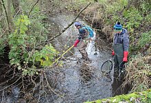 Bega - Nadine Uphoff