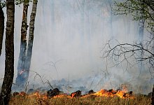 Waldbrand - Wald und Holz NRW / T. Deckert