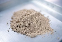 Hausgrille - Insektenpulver - Visarut Sankham/dpa