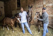 Pferdehof Jöllenbeck - Jörg Dieckmann