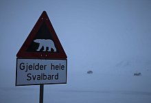 Eisbär auf Spitzbergen erschossen - Steffen Trumpf/dpa
