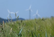 Windrad - Symbolbild: Pixabay