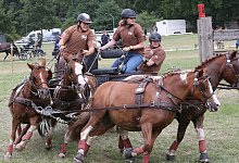 Fahrsport - Paul Cohen