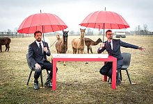 TV-Ausblick - "Ein sehr gutes Quiz (mit hoher Gewinnsumme)" - Benedikt Müller/Joyn/dpa