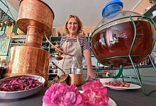 Rosenlaboratorium Templin - Patrick Pleul/dpa