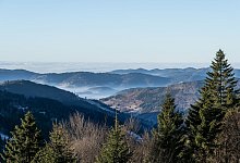 Wetter in Baden-W&uuml;rttemberg - Silas Stein/dpa