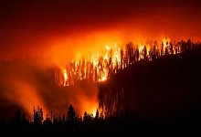 Waldbrand in Kalifornien - Noah Berger/FR34727 AP/AP/dpa