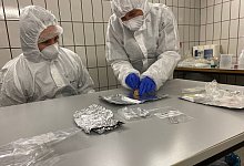 Wollnashorn-DNA - Yvonne Tafelmaier/Universit&auml;t Konstanz/dpa