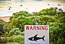 Haiangriffe in Australien - Rebecca Le May/AAP/dpa