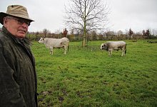 IMG_2116 - Katrin Kantelberg