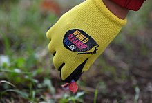 Freiwillige sammeln am &laquo;World Cleanup Days&raquo; jede Menge M&uuml;ll. - Franziska Kraufmann/dpa