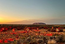 Lasershow am Uluru in Australien - Carola Frentzen/dpa-tmn