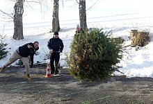 wurf-2 - 1 - Rudi Rudolph