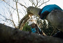 Gartenarbeit im Winter - Christin Klose/dpa-tmn