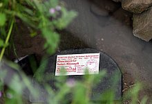 Rattenbekämpfung - Soeren Stache/dpa