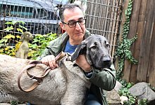 Cem &Ouml;zdemir besucht Tierheim - Bernd Wei&szlig;brod/dpa