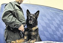 Keine Banknote ist vor ihnen sicher - picture alliance / dpa