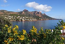 K&uuml;stenlandschaft zwischen Agay und Th&eacute;oule-sur-Mer - Andreas Drouve/dpa-tmn