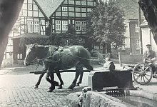 Historisches Schwalenberg - Erika Lange