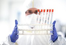 Ein Mitarbeiter des Labors Dr. Blessing hält einen Ständer mit diversen Rachenabstrichröhrchen in den Händen. Nach der Virus-Inaktivierung unter der Sicherheitswerkbank werden die Röhrchen zur weiteren Verarbeitung in einen anderen Laborbereich gebracht. - Felix Kästle