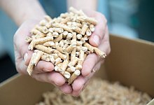 Eine Frau hält Holzpellets in den Händen - Andrea Warnecke/dpa-tmn