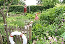 DT Gartenserie - Spilker (co) - Cordula Gr&ouml;ne