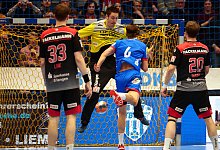 Elisson in Aktion - J&ouml;rg Hagemann