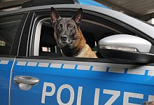 Immer auf zack - Bernhard Preu&szlig;