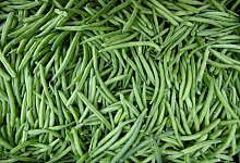 Gr&uuml;ne Bohnen - Holger Hollemann/dpa/dpa-tmn