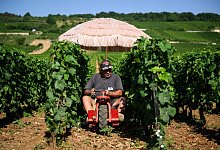 Arbeit bei Hitze - Arnaud Finistre/AFP/dpa