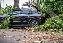 Sturmschäden in Berlin - Michael Kappeler/dpa