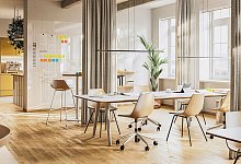 Formholzstuhl von Thonets - Thonet/dpa-tmn