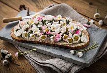 Mit Kindern essbare Wildpflanzen entdecken - Christin Klose/dpa-tmn/dpa