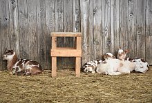 rba_0093 - Raphael Bartling