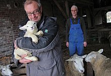 F&uuml;rsorglich: Das Wohl der Tiere liegt Andreas T&uuml;nker (links) besonders am Herzen. Landwirt Friedrich Arning wei&szlig;, dass er sich auf den Mitarbeiter der Lebenshilfe-Werkst&auml;tten verlassen kann, der bei ihm auf dem Hof kr&auml;ftig anpackt. Foto: Katrin Kantelberg - Katrin Kantelberg