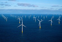 Windkraft auf See - Sina Schuldt/dpa