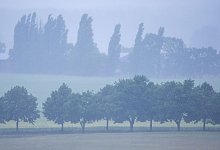 Starkregen in Norddeutschland - Jens B&uuml;ttner/dpa