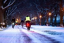 Radfahrer fahren durch eine verschneite Allee - Julian Stratenschulte/dpa/dpa-tmn