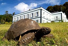 Jonathan - Joe Hollins/privat/dpa